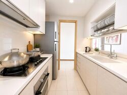 A Treasure Trove (D19), Condominium #576546731